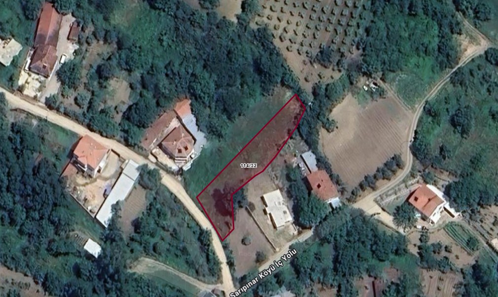 Fotoğraf